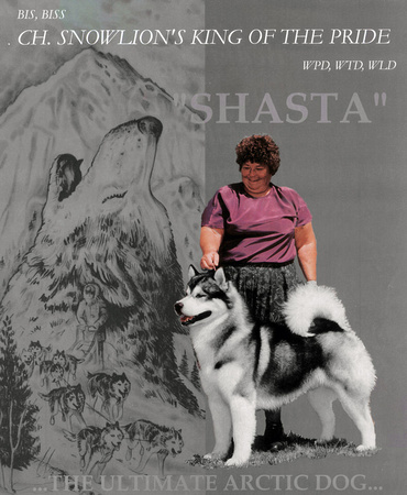 Shasta with handler Ann S
